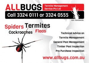 Allbugs Brochure